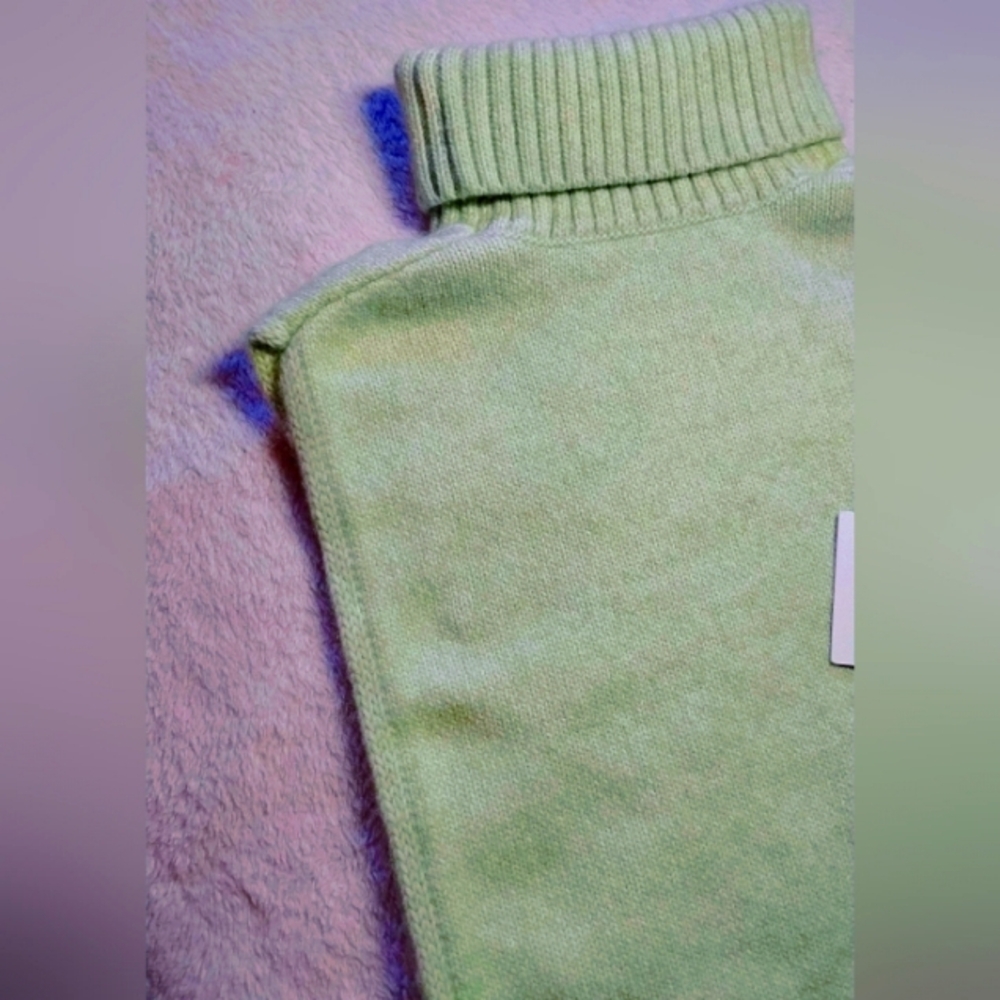 Monki Green Turtleneck Sweater Dickey